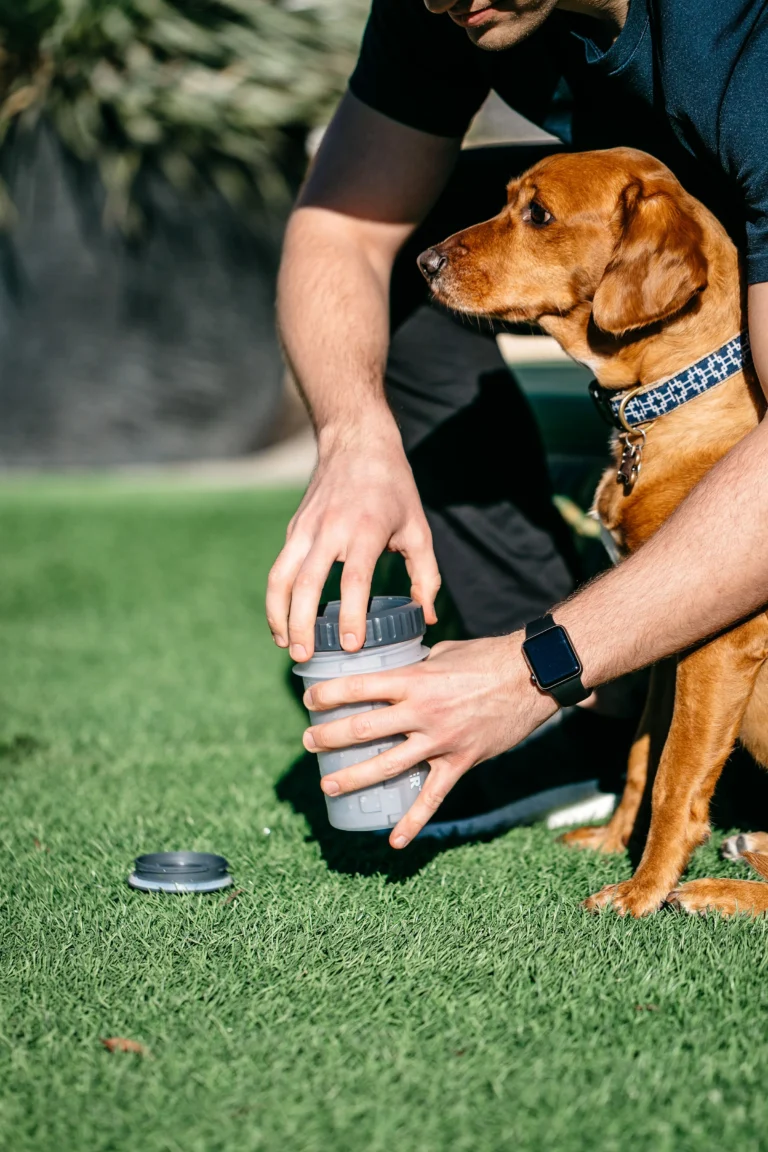 Best Portable Dog Paw Washer for Muddy Dogs — Does It Actually Work?